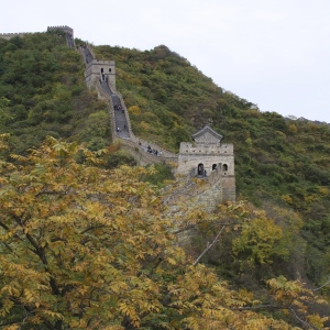great wall golden