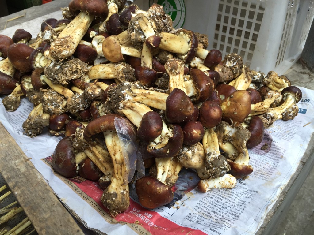 market mushrooms